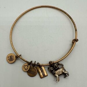 Alex & ani monopoly cat charm bracelet gold tone